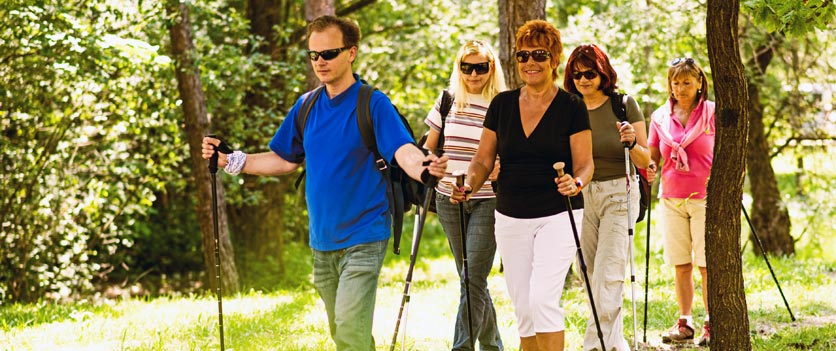 Nordic Walking: eine Gruppe Senioren ist im Wald unterwegs.