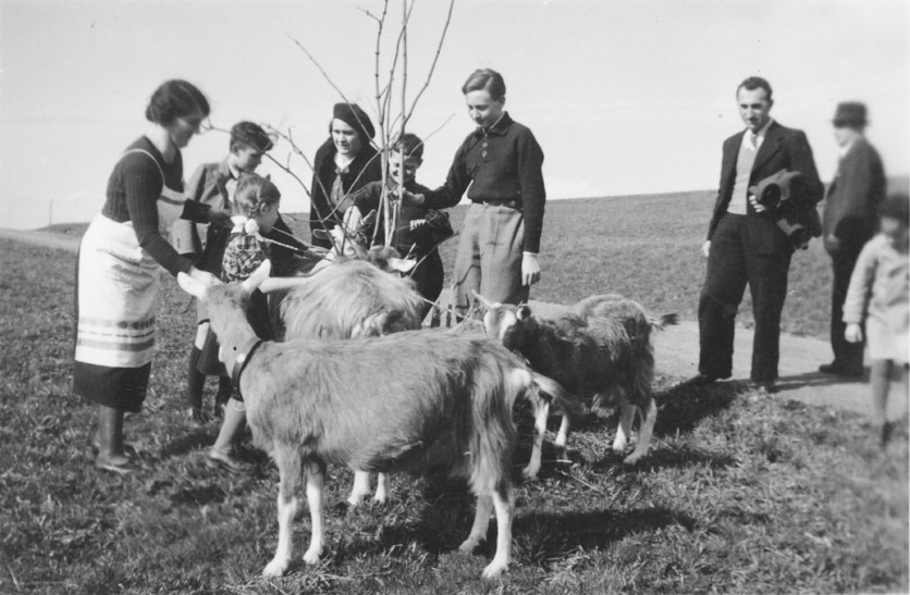 Eine Familie mit Ziegen und in Sonntagskluft um ca. 1941 beim Sonntagsausflug auf den Hoenggerberg.