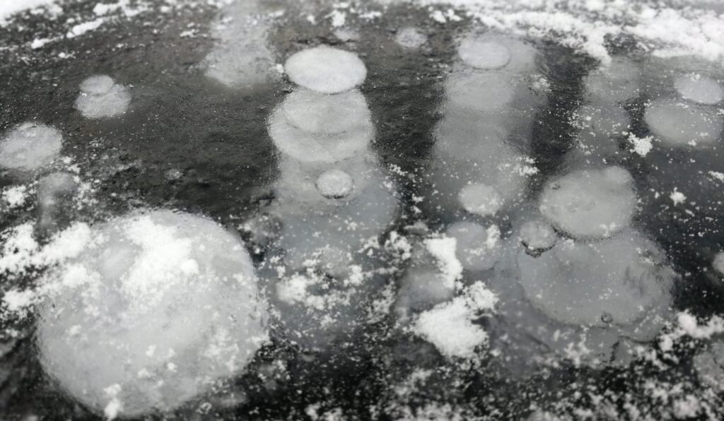 Faszinierend: Eingefrorene Luftblasen unter der Eisdecke.