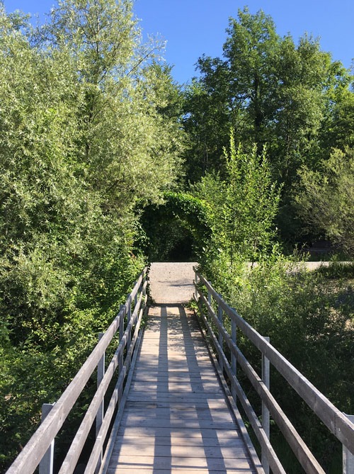 Wegabschnitt mit Holzbrücke