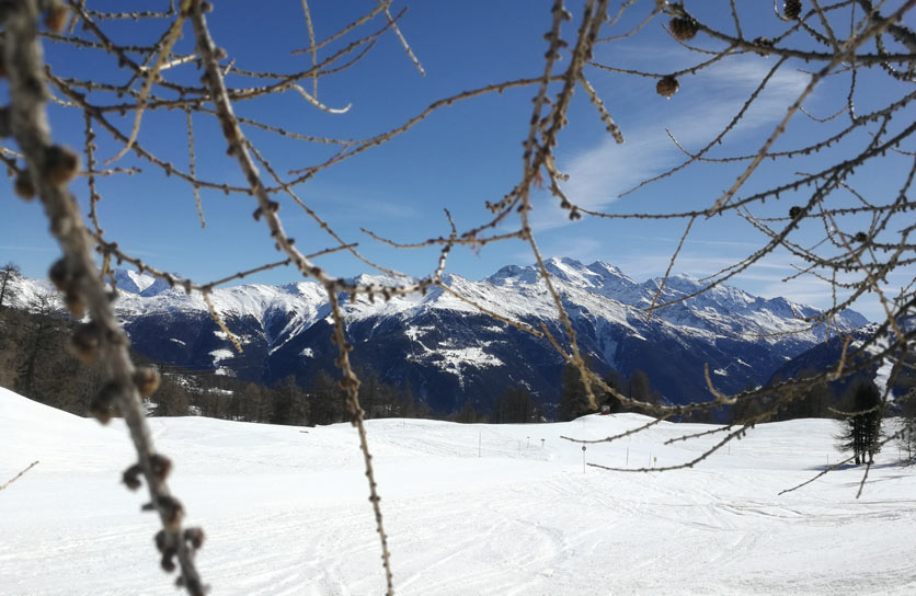 Panorama-Blick in Bürchen im Walliser Skigebiet Moosalp-Region