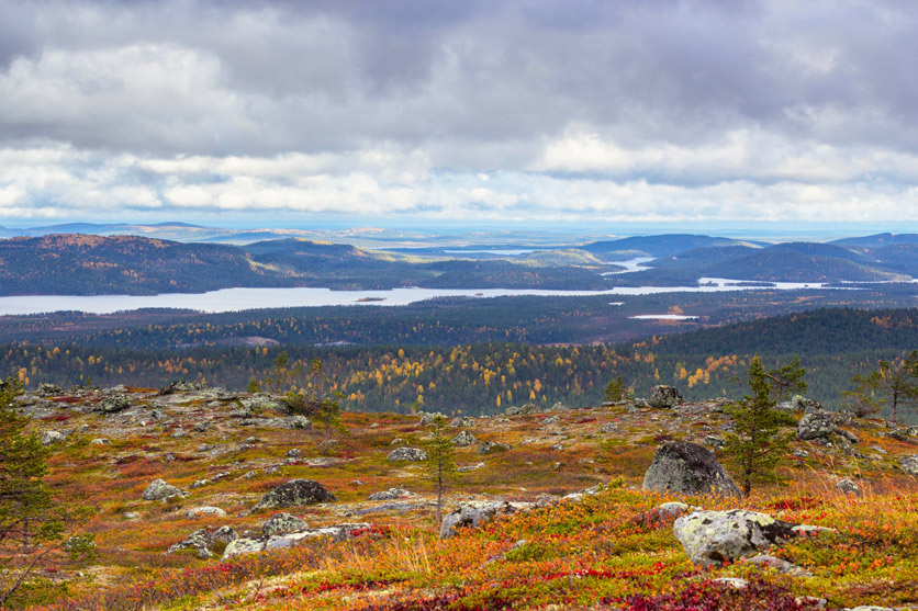 Herbstliche Landschaft in Inari, Lapland mit dunklen Wolken am Himmel.