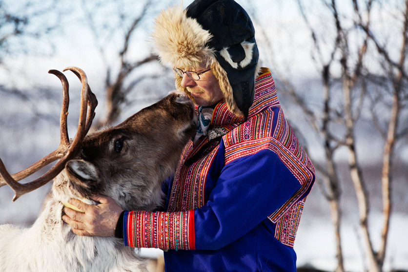 Ein Sami in Tracht streicheln ein Rentier. 