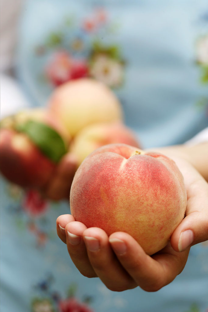 Hände halten einen reifen Pfirsich