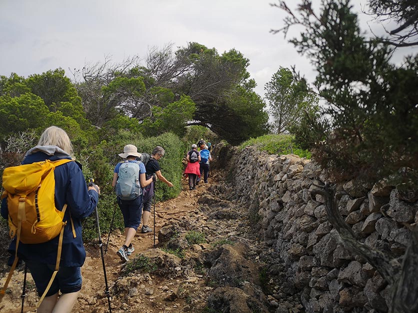 Typisch für Menorca: Trockenmauern