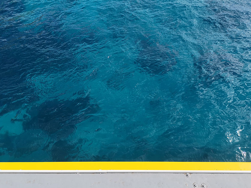 Ja, das Wasser ist wirklich so blau auf Menorca.