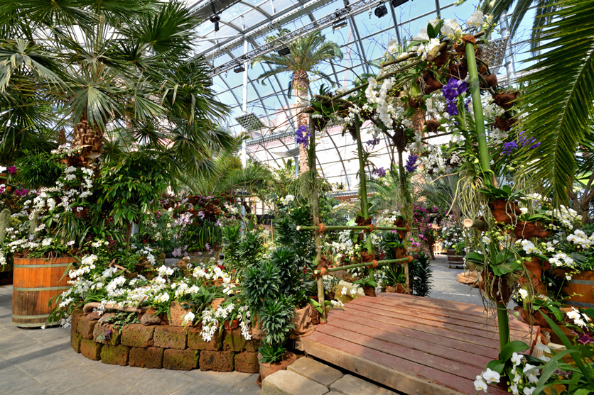 Orchideenschau auf der Insel Mainau