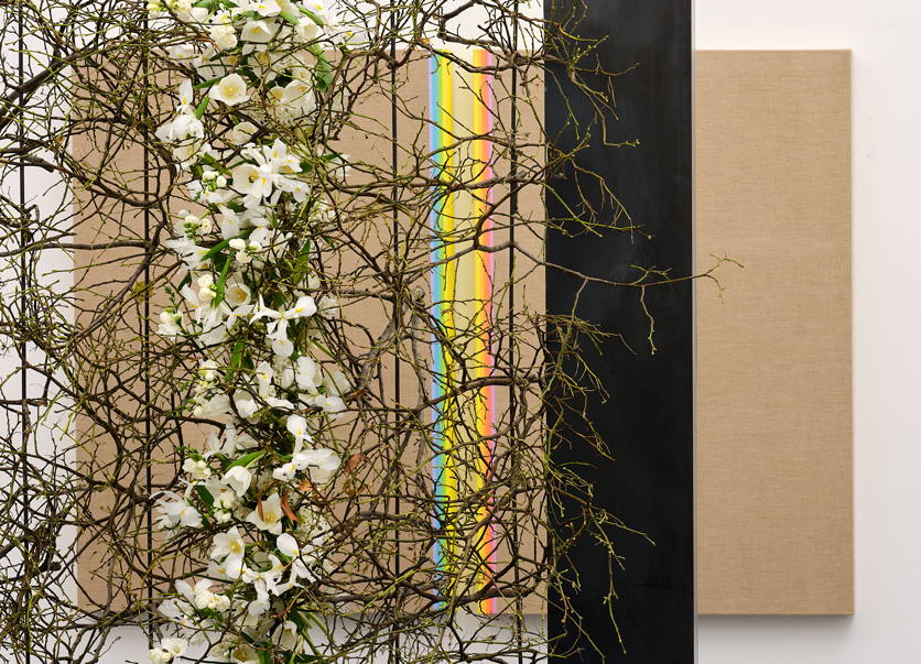 Florale Interpretation von Walter Zellweger, Schwellbrunn zum Werk von Jean Pfaff, Spaltkasten, 1974. Aargauer Kunsthaus. Foto: David Aebi, Burgdorf
