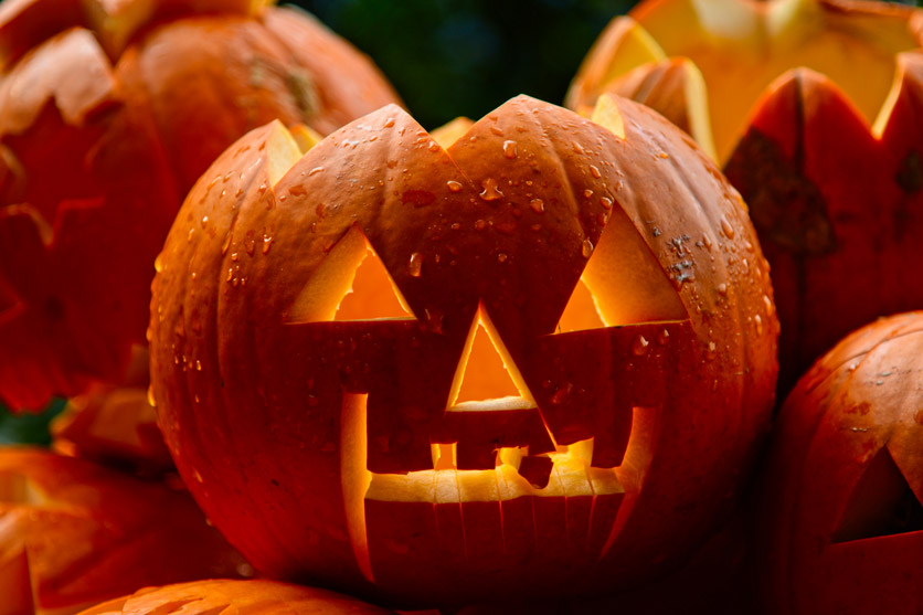 Halloween Dekoration: geschnitzte Kürbisse