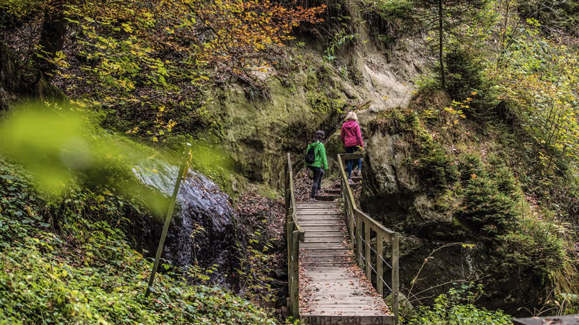 Gorges du Gotteron in Fribourg