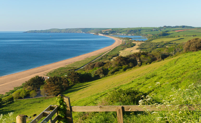 Südküste von
Devon