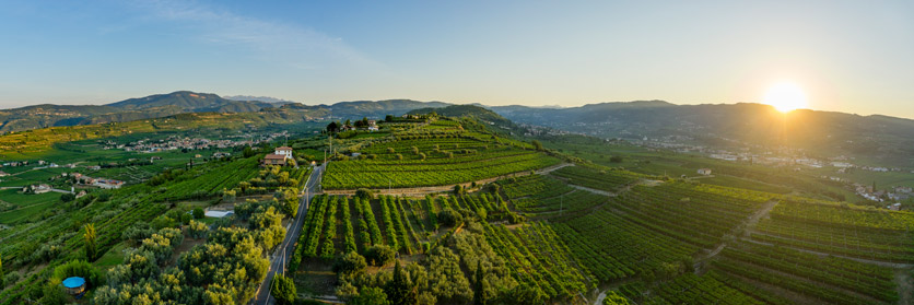 Weingegend des Valpolicella 