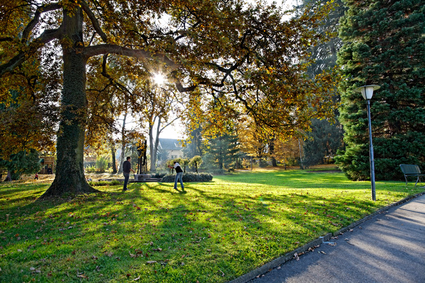 Stadtpark Olten