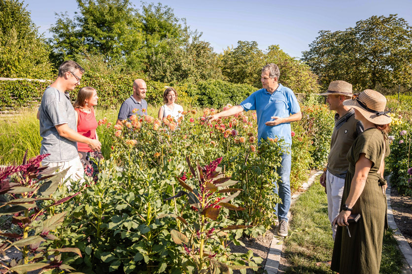 Garten Tulln in Krems