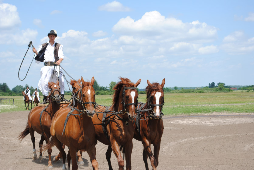Pferdekutsche in der Puszta