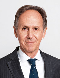 Daniel Stoll, Rechtsanwalt