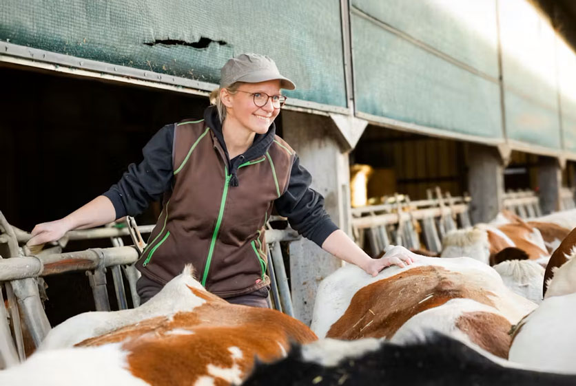 Bäuerin mit Kühen