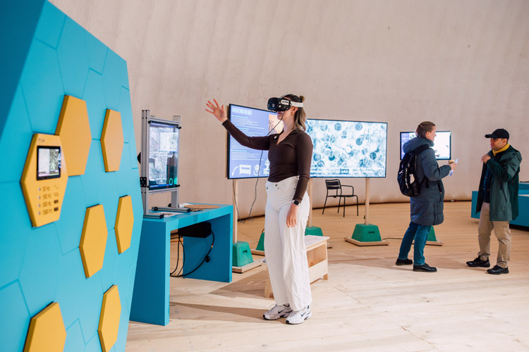 Phänomena: Eine Besucherin tritt mit der VR-Brille in einen Bienenstock.