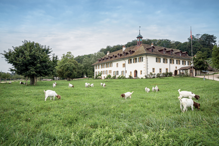 Ehemaliges
Kloster auf der Petersinsel. 
