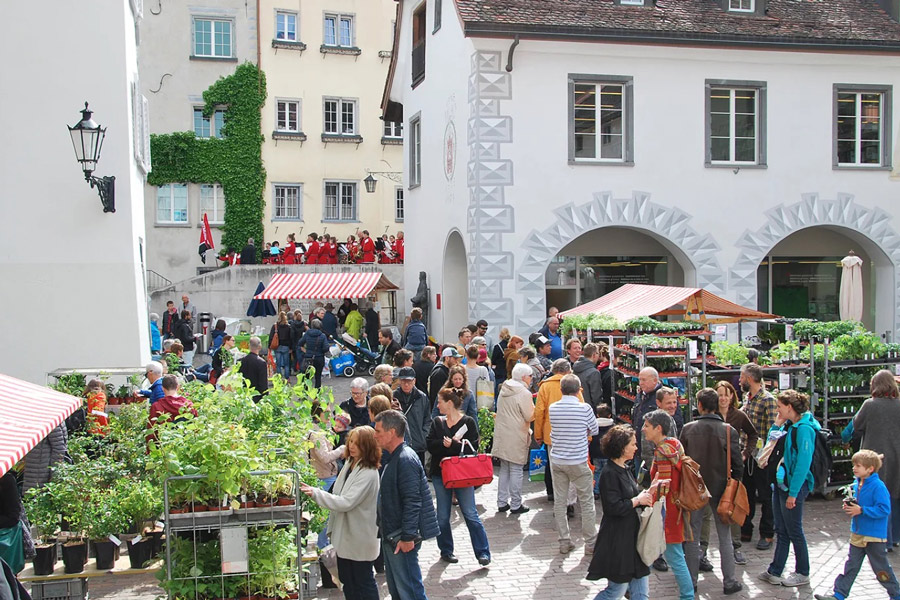 Setzlingsmarkt Chur