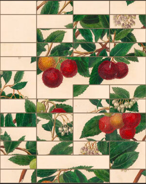 Game: Art of Flora