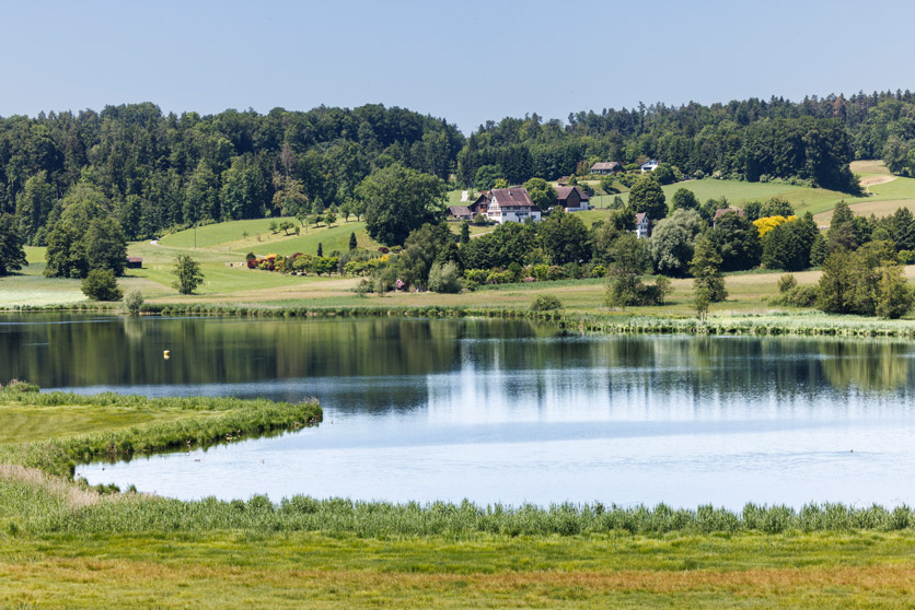 Luetzelsee an der Via Natura in Zürich