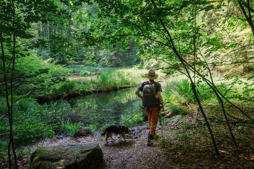 Unterwegs an der Via Natura