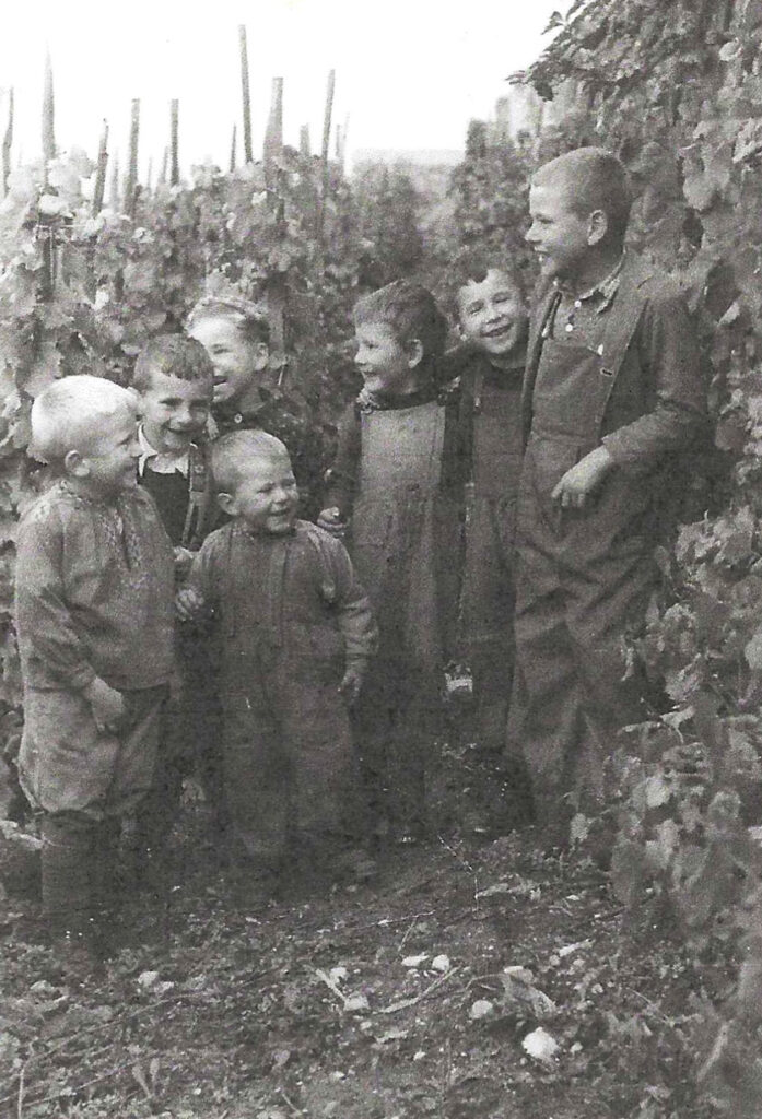 Buben als Erntehelfer bei der Weinlese (ca. 1957)