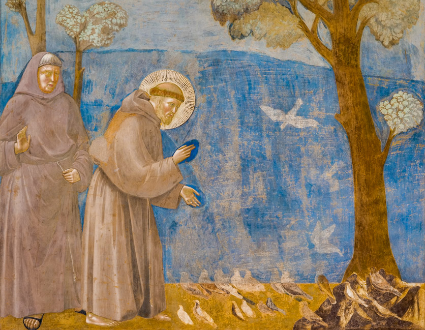 Giottos Fresko des Heiligen Franziskus, der zu den Vögeln spricht, in der Basilika San Francesco, Assisi, Umbrien.