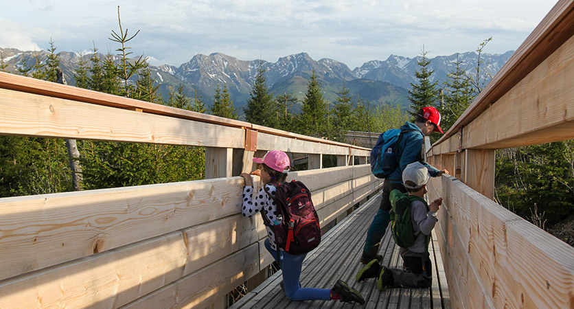 Baumwipfelpfad Gäggersteg